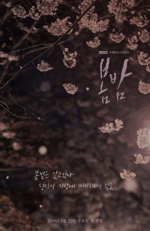 Дорама Весенняя ночь онлайн