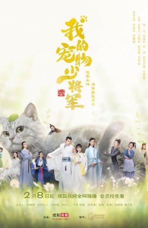 Дорама Мой юный питомец генерал онлайн