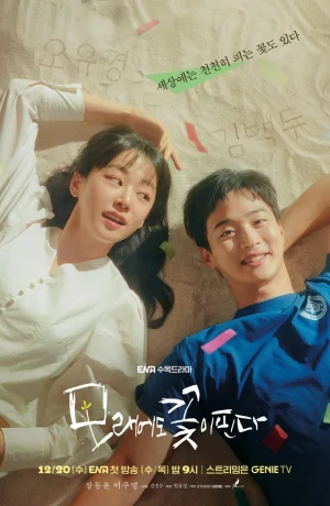 Дорама Цветы расцветают даже на песке онлайн