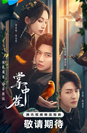 Дорама Птица в ладони онлайн